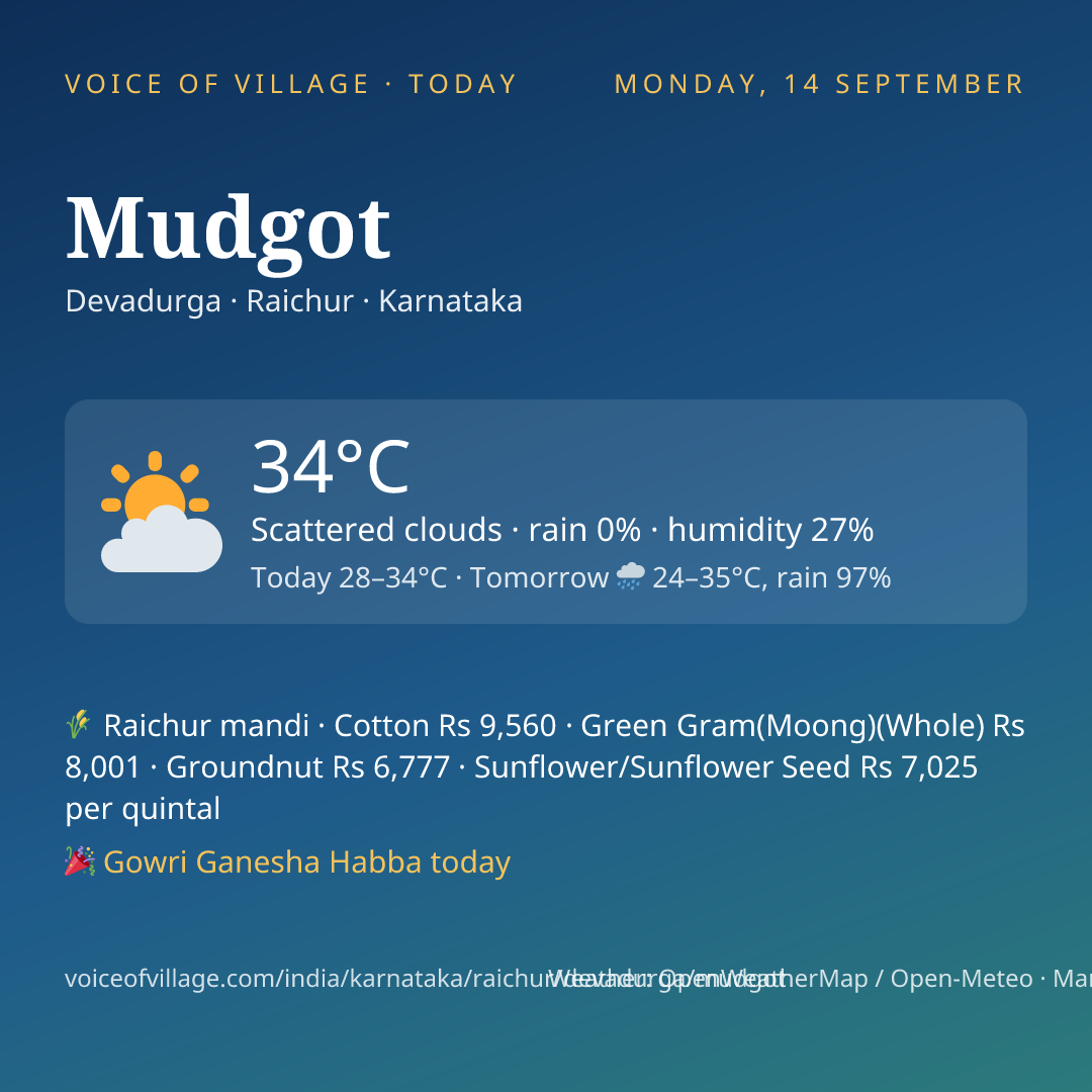 Mudgot today