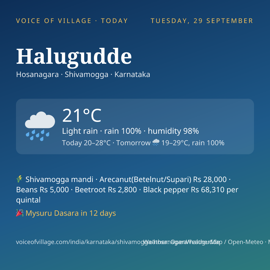 Halugudde today