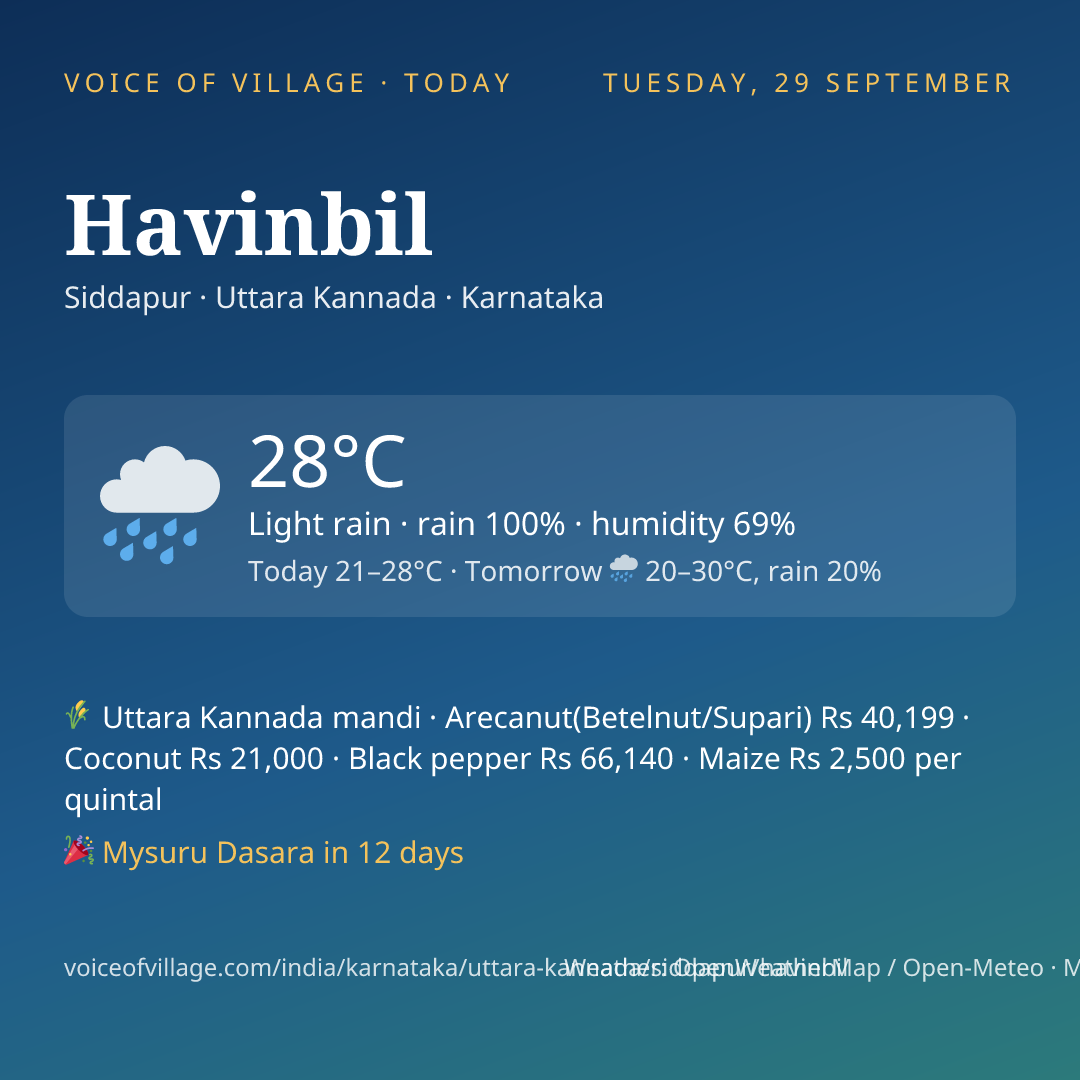 Havinbil today