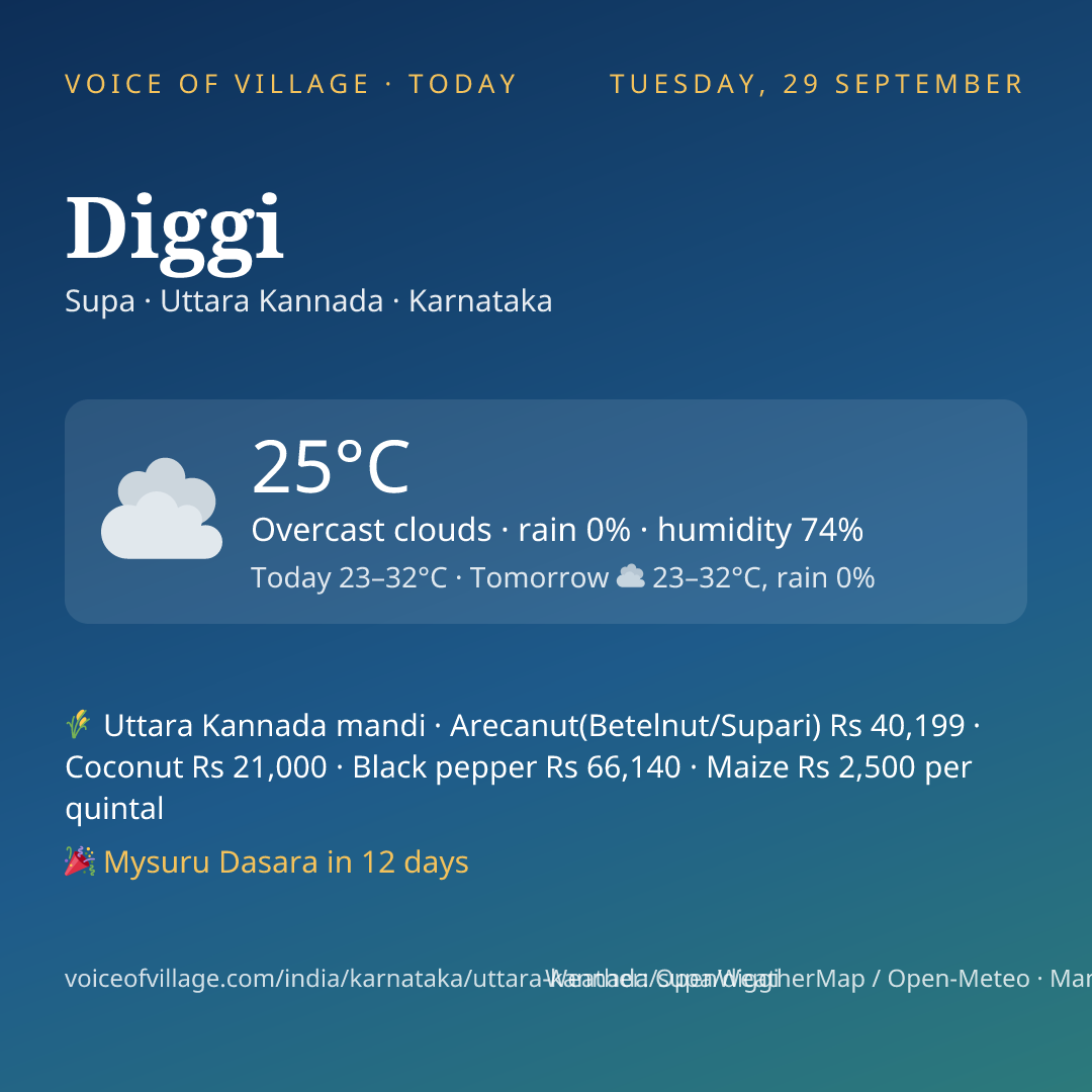 Diggi today