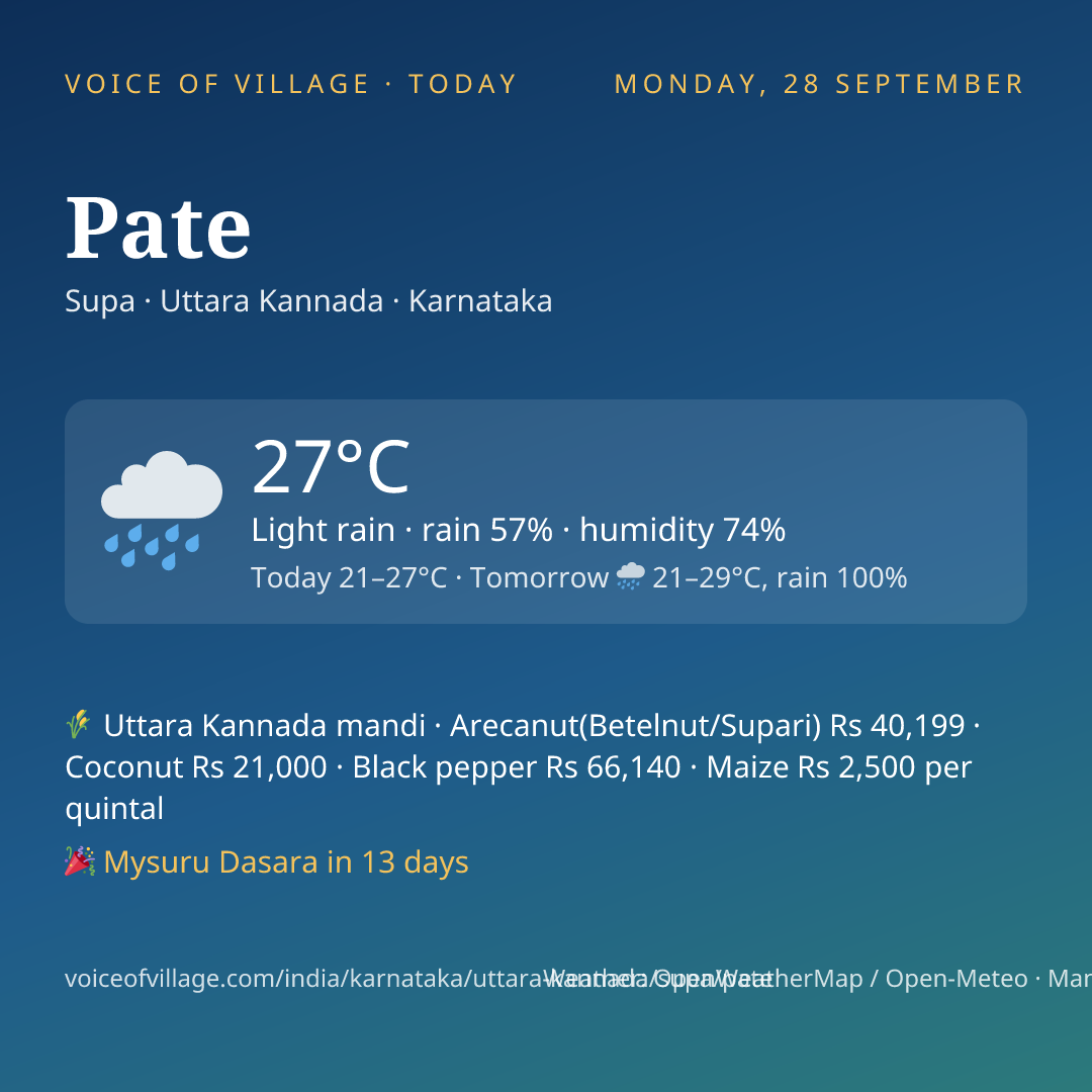 Pate today