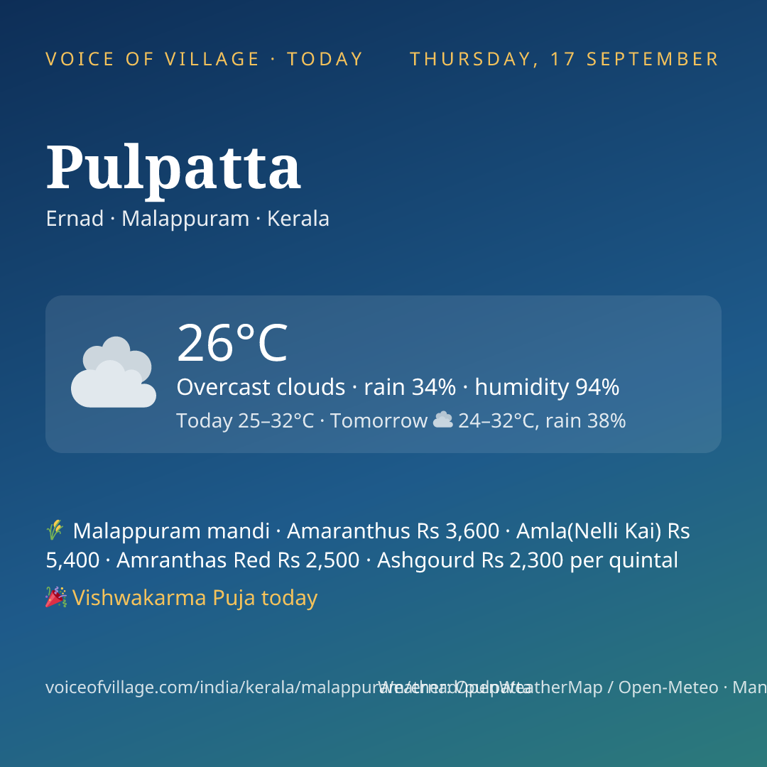 Pulpatta today