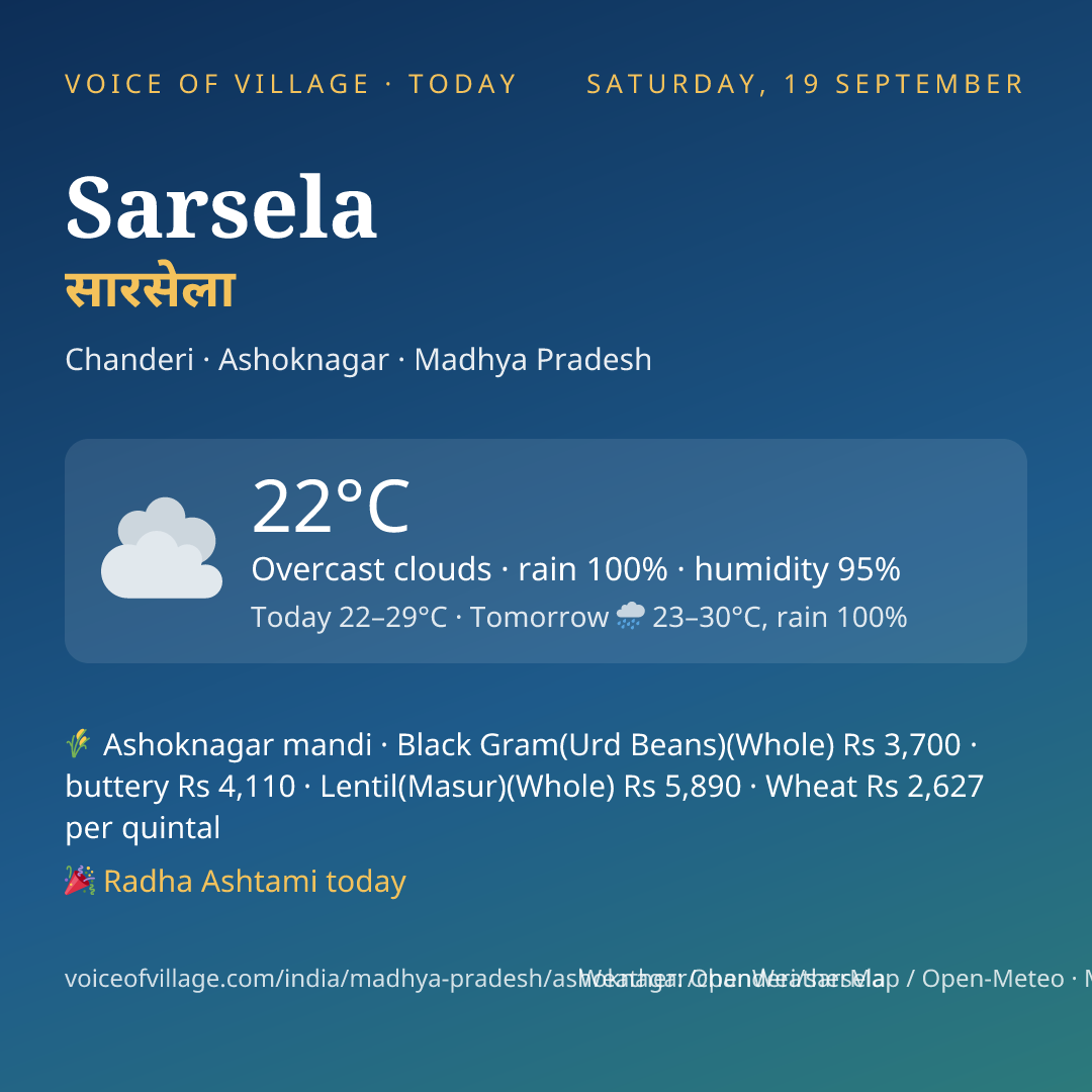 Sarsela today