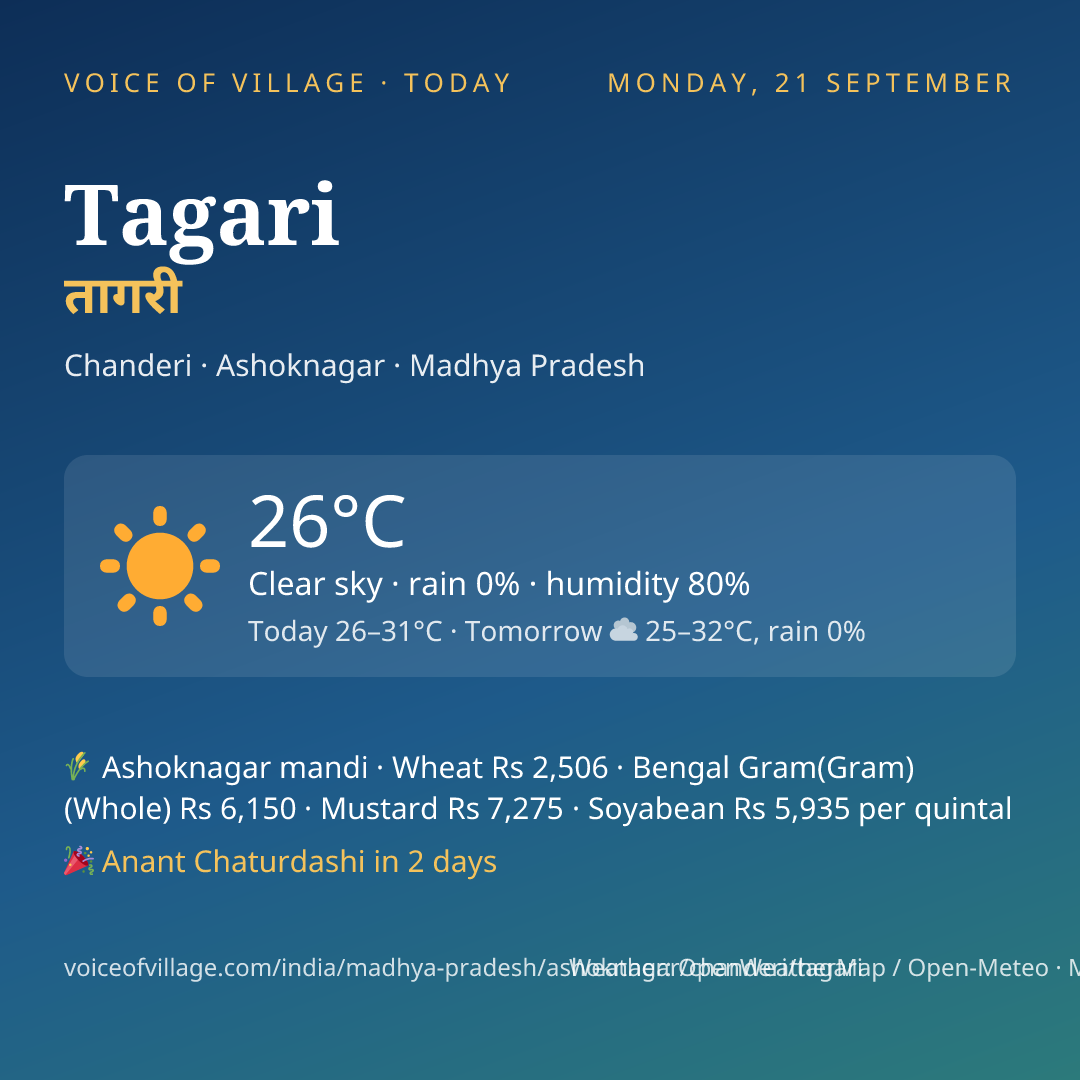 Tagari today