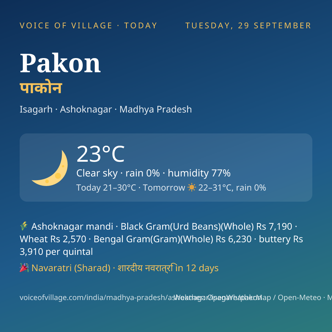 Pakon today