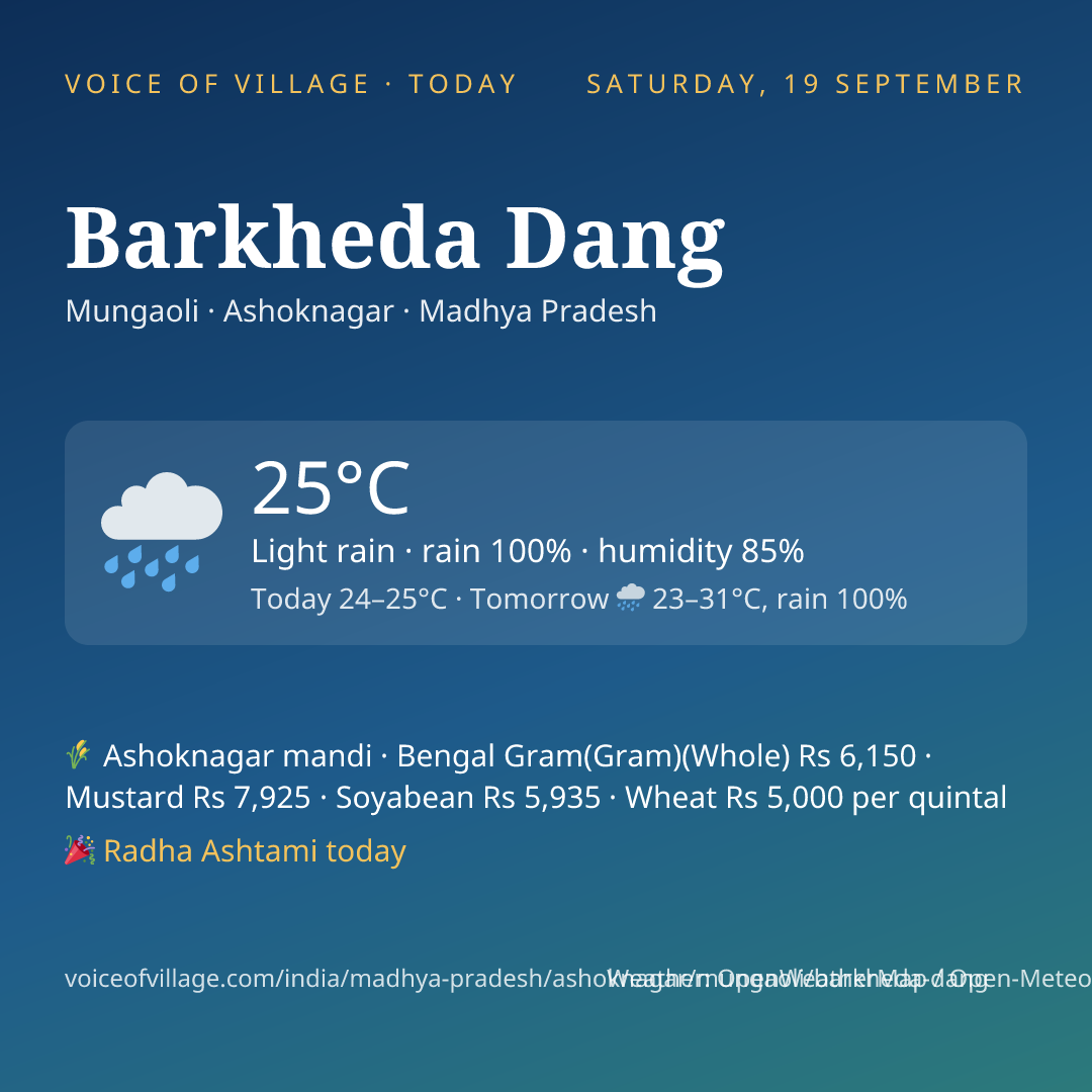 Barkheda Dang today