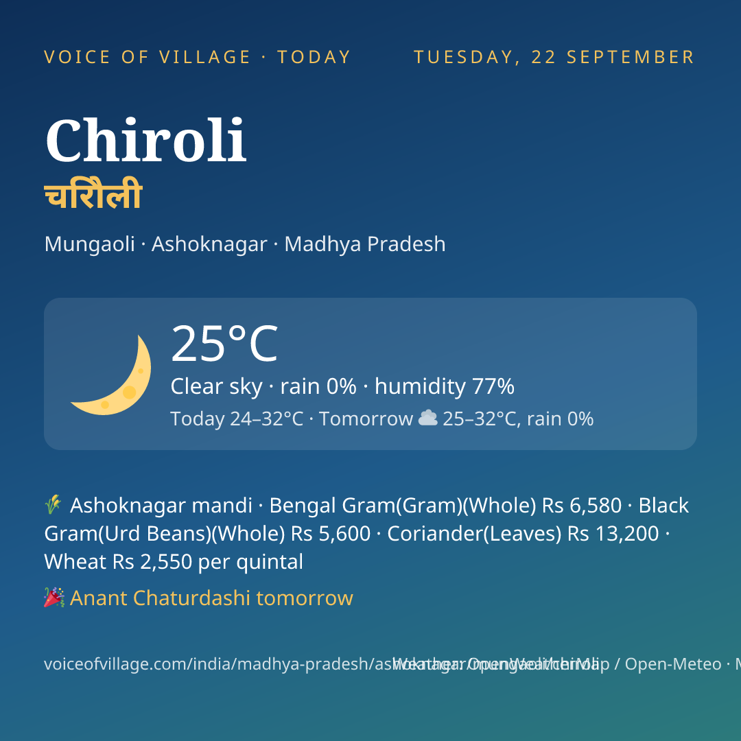 Chiroli today
