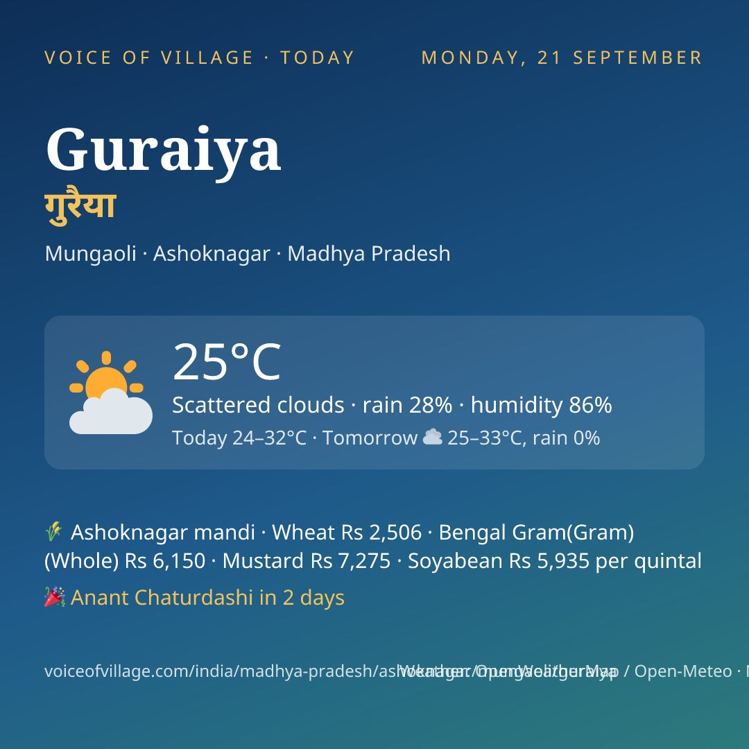 Guraiya today