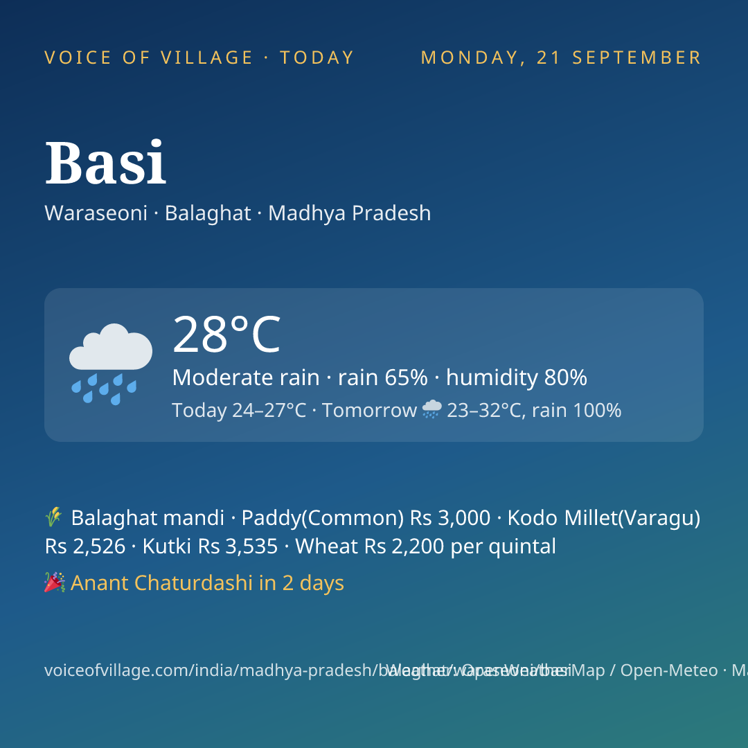 Basi today