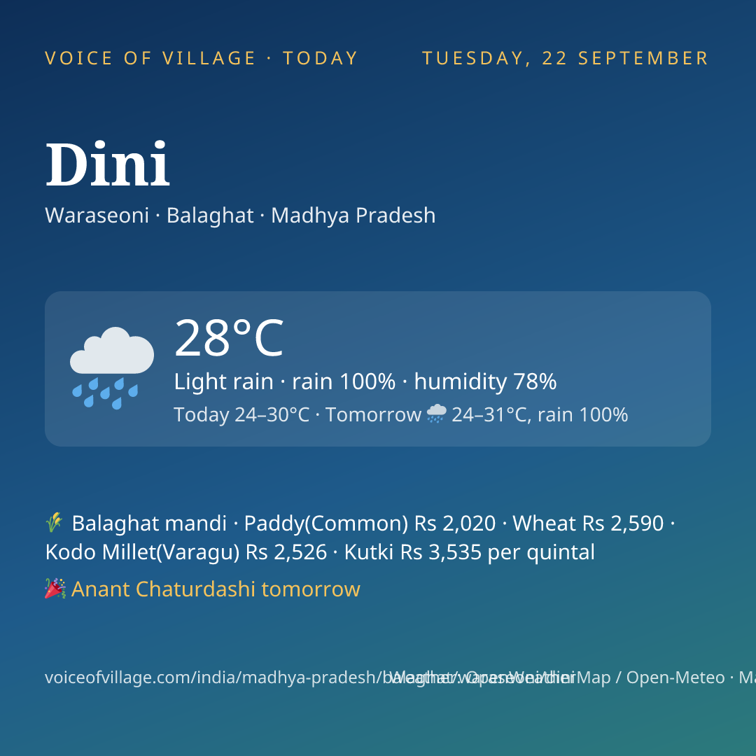 Dini today