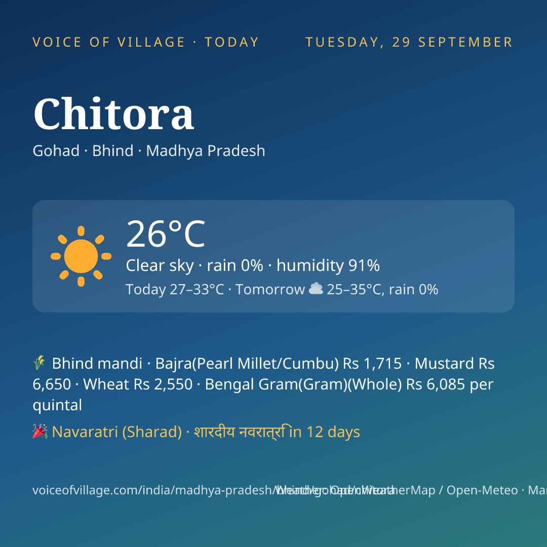 Chitora today