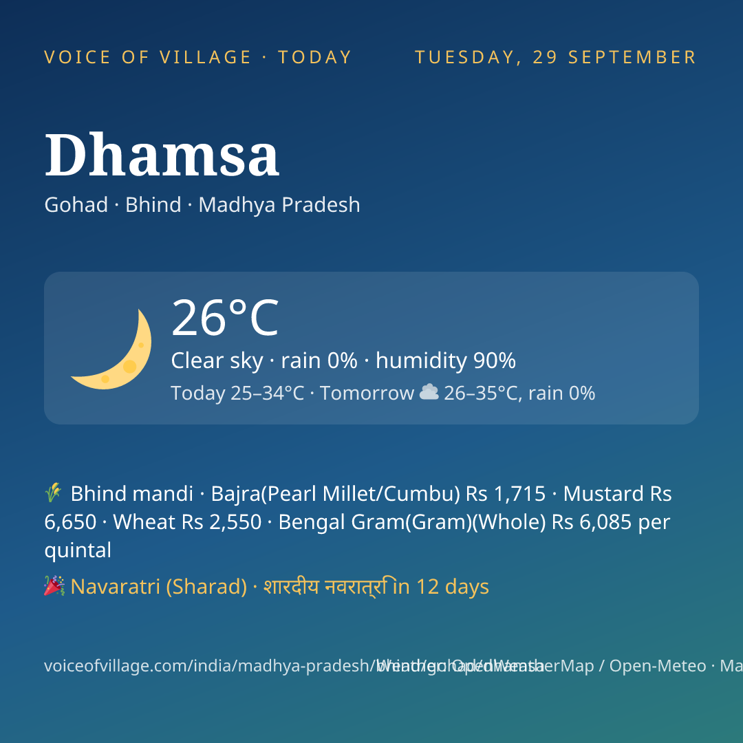 Dhamsa today