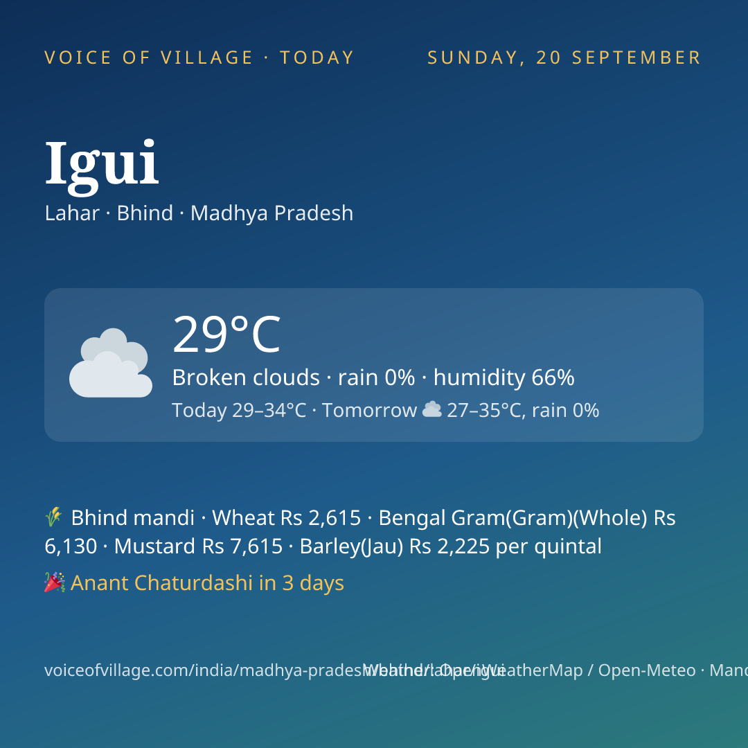 Igui today