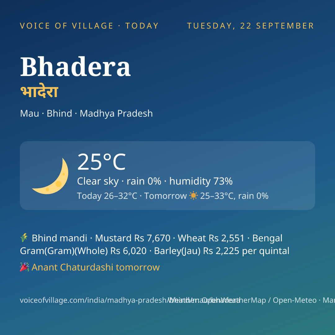 Bhadera today