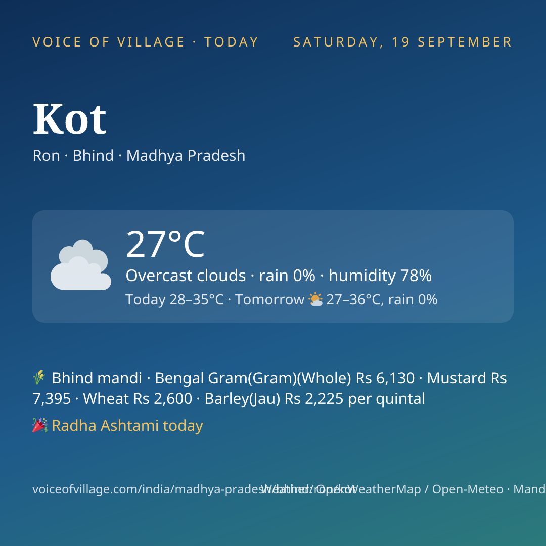 Kot today