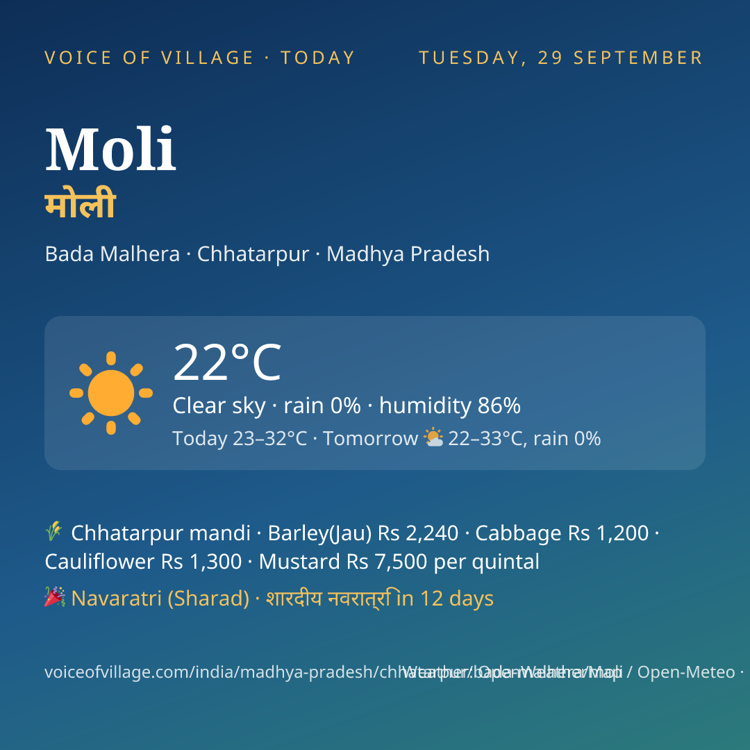Moli today