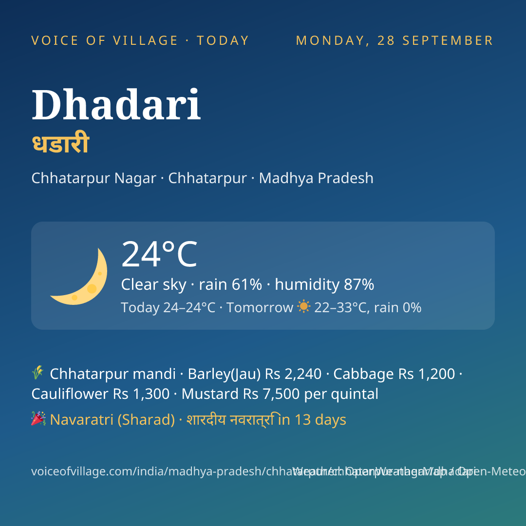 Dhadari today