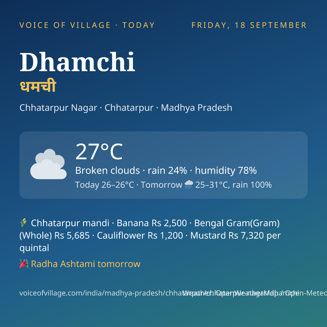 Dhamchi today
