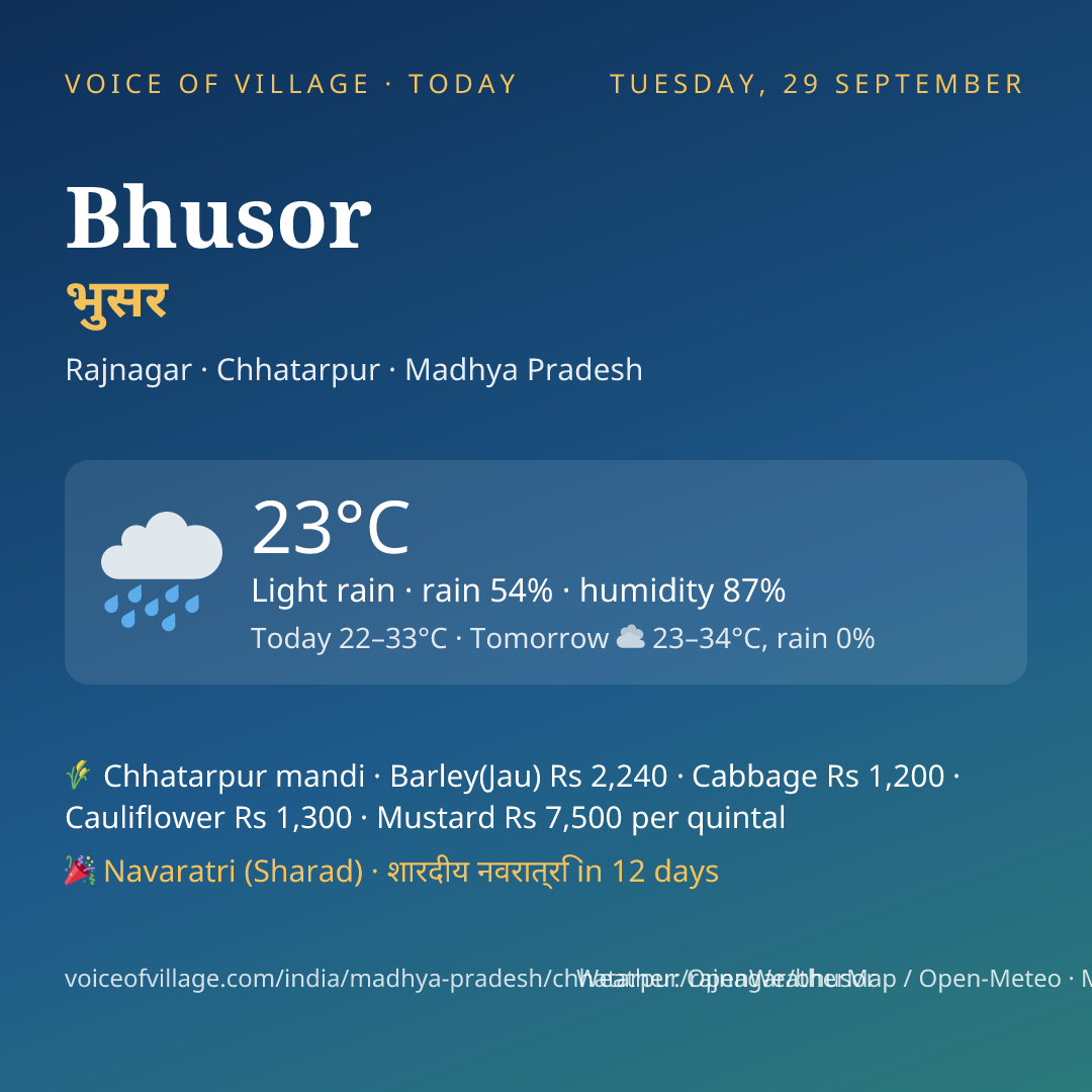 Bhusor today