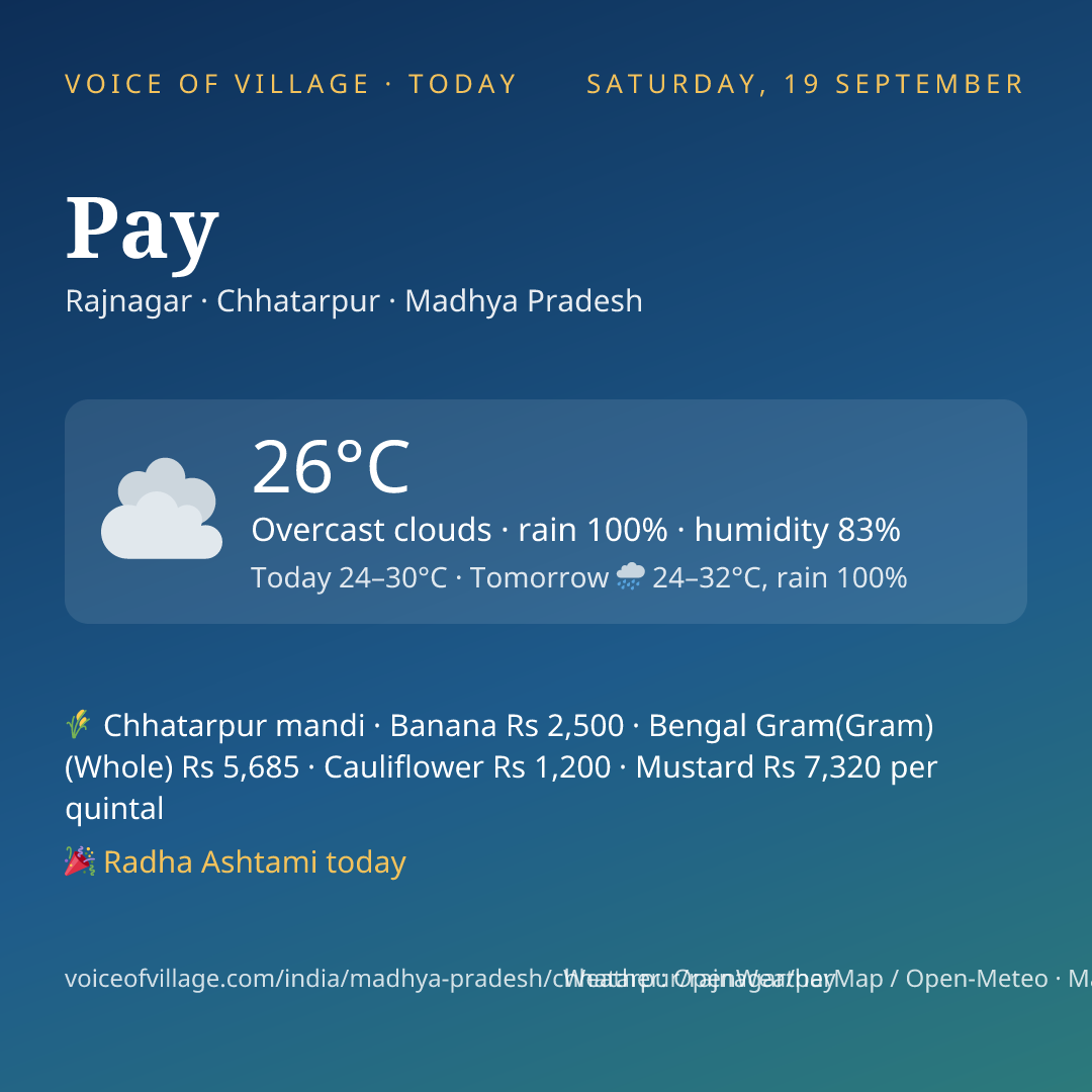 Pay today