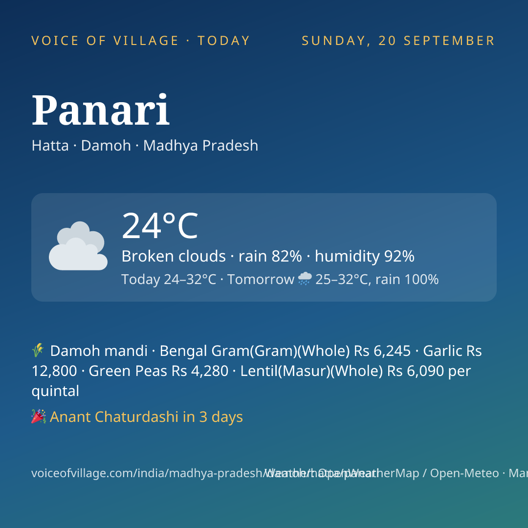 Panari today
