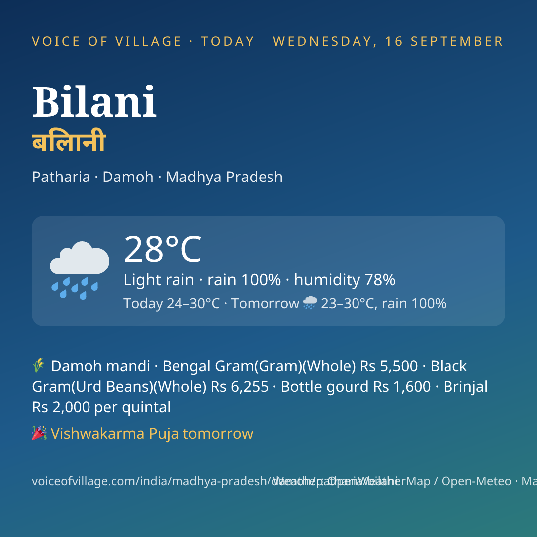 Bilani today