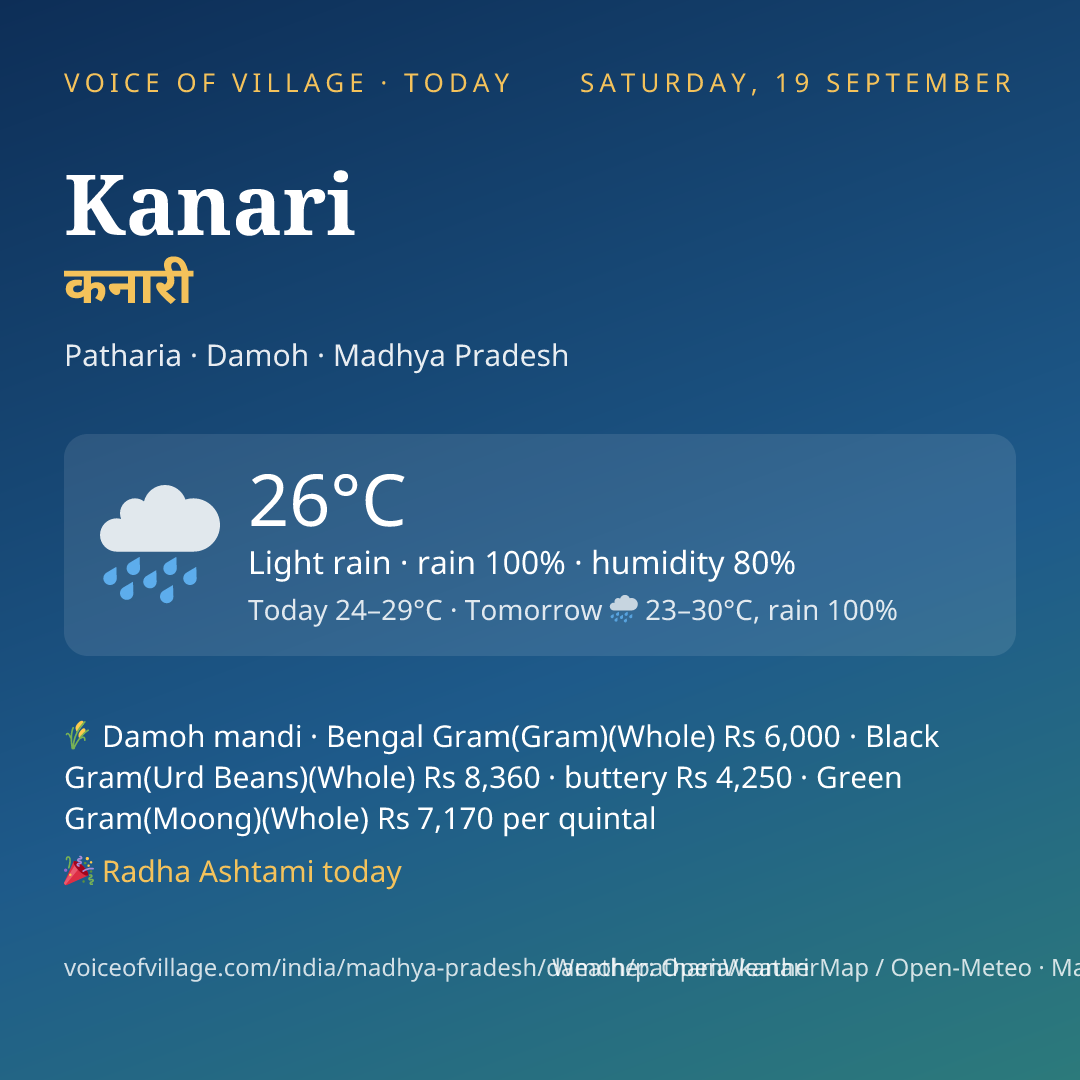 Kanari today