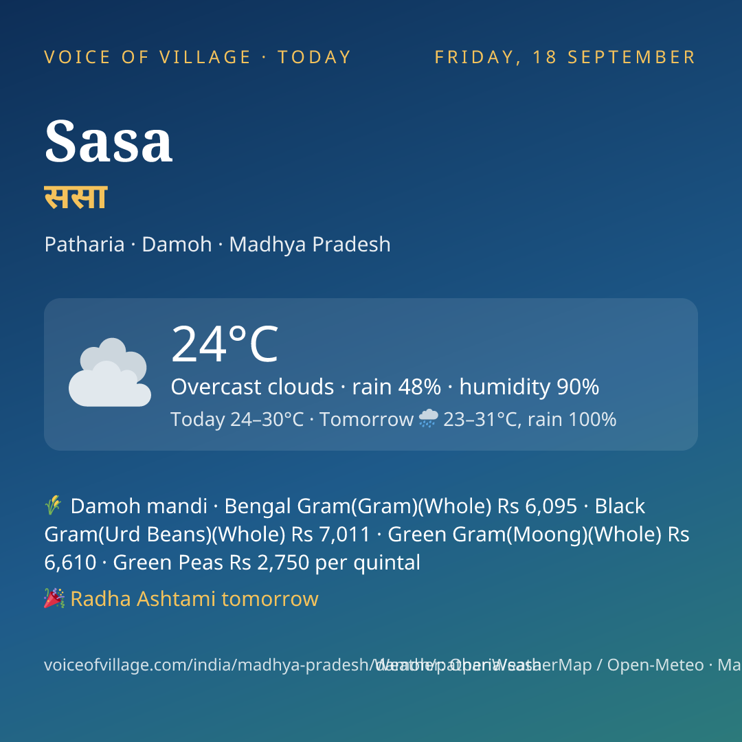 Sasa today