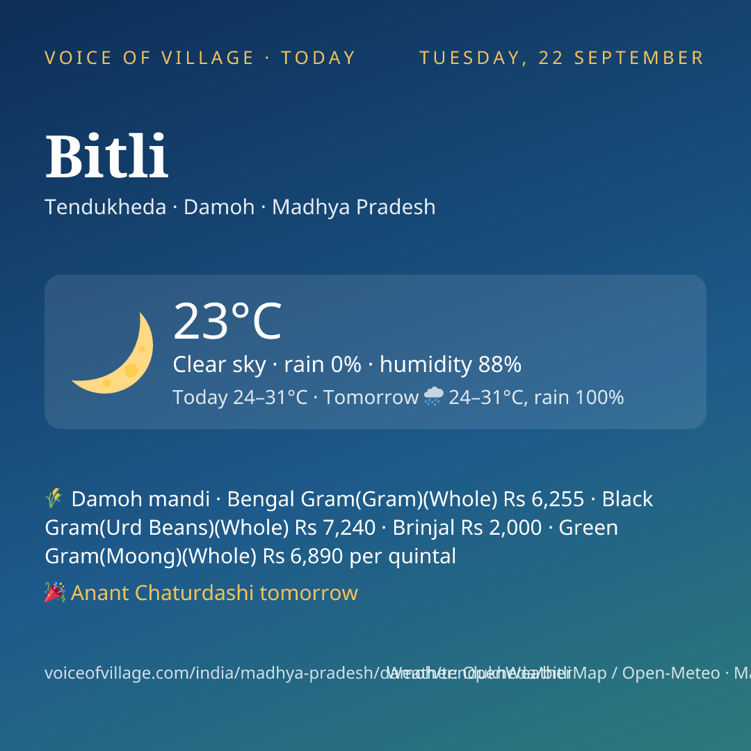 Bitli today
