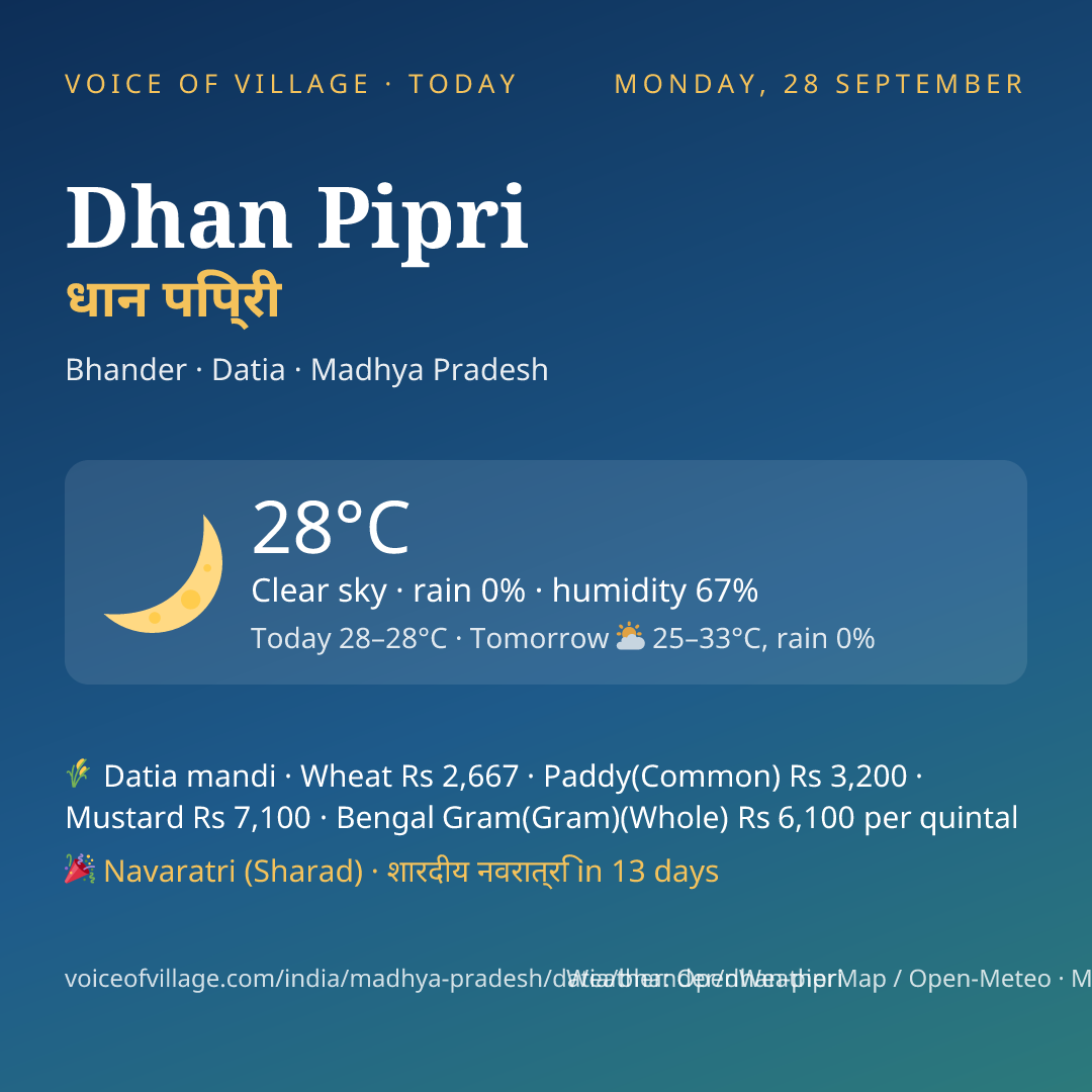 Dhan Pipri today