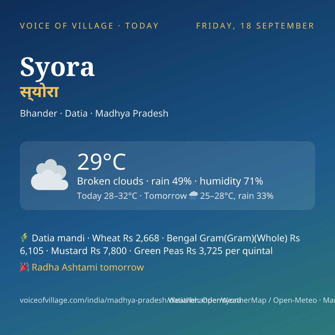 Syora today