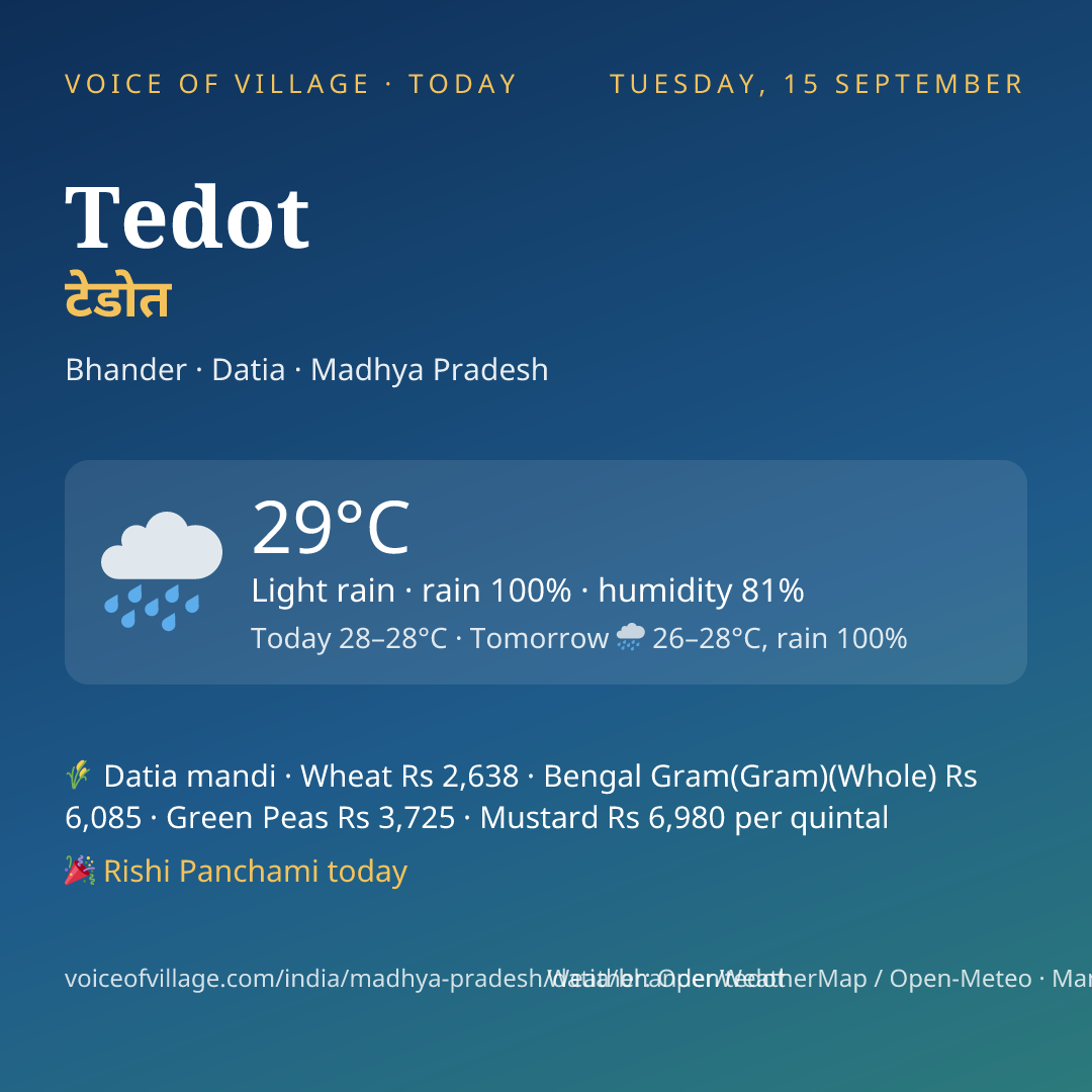 Tedot today