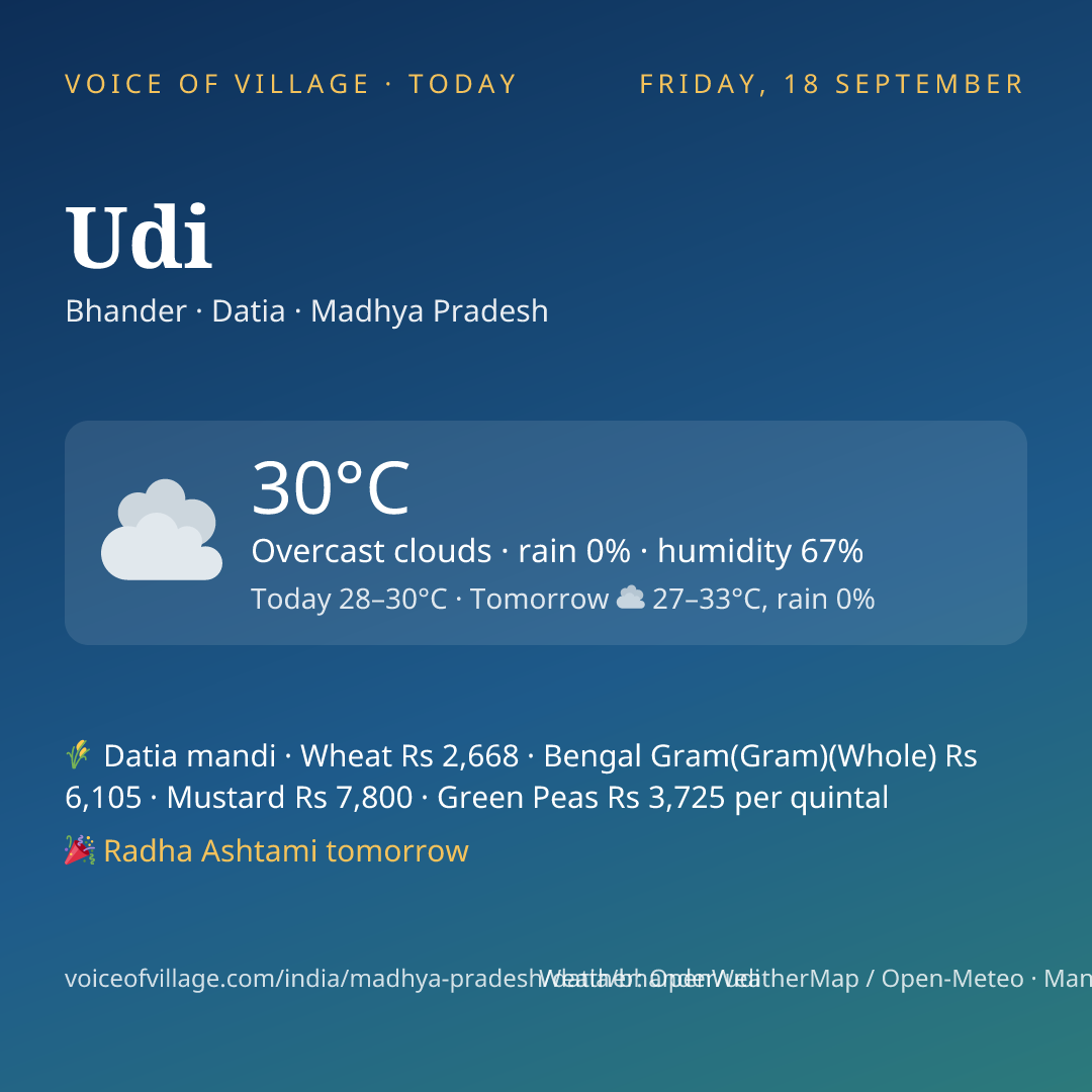 Udi today