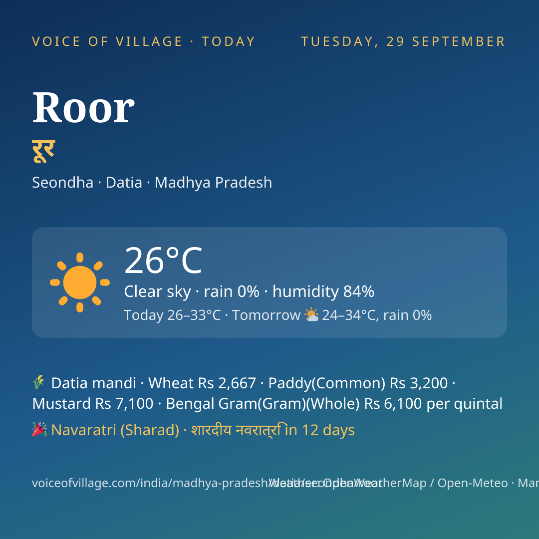 Roor today