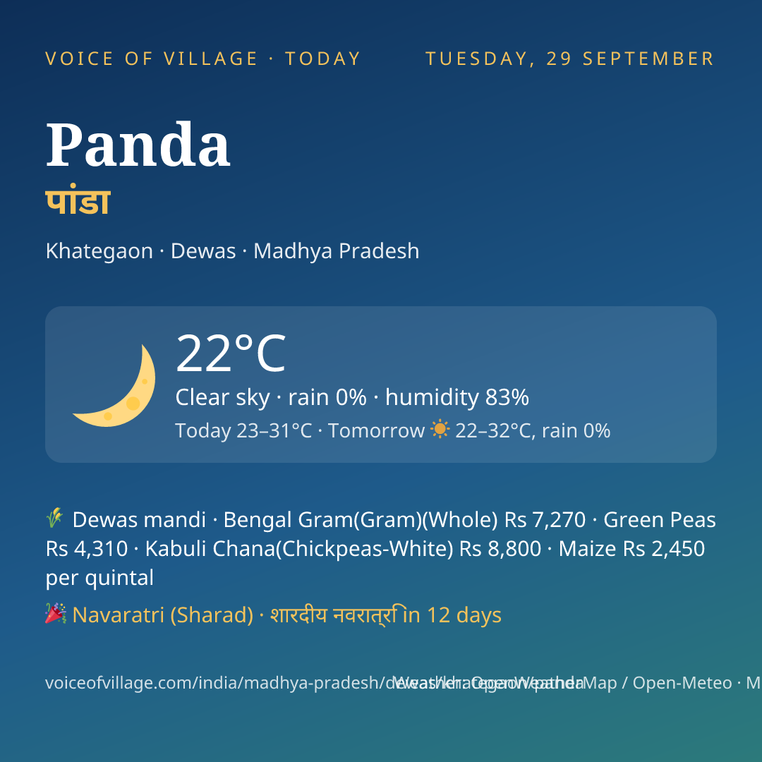 Panda today
