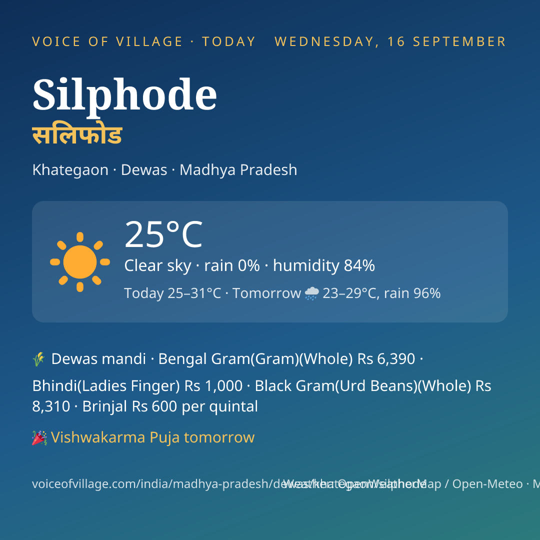 Silphode today