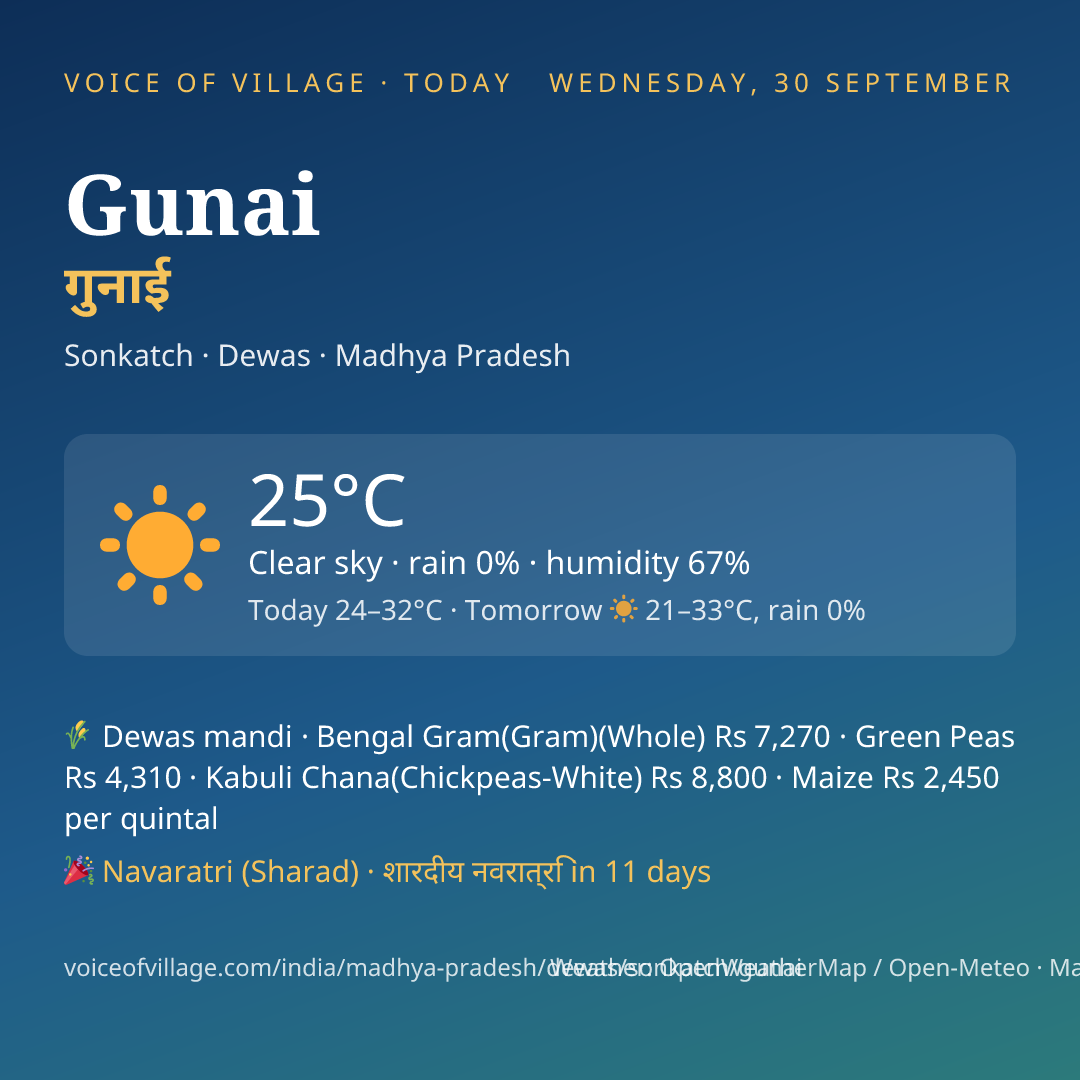 Gunai today
