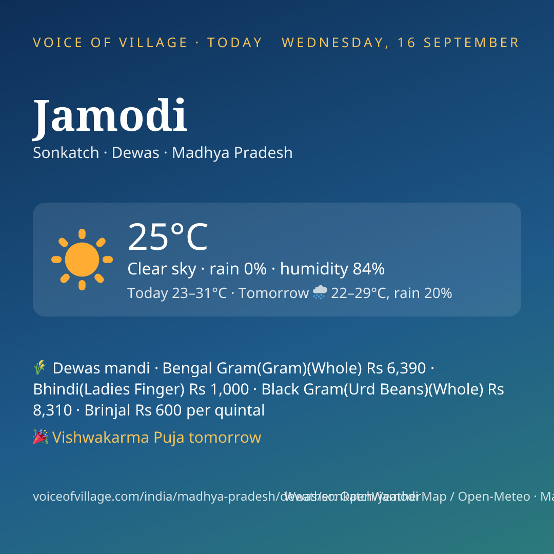Jamodi today