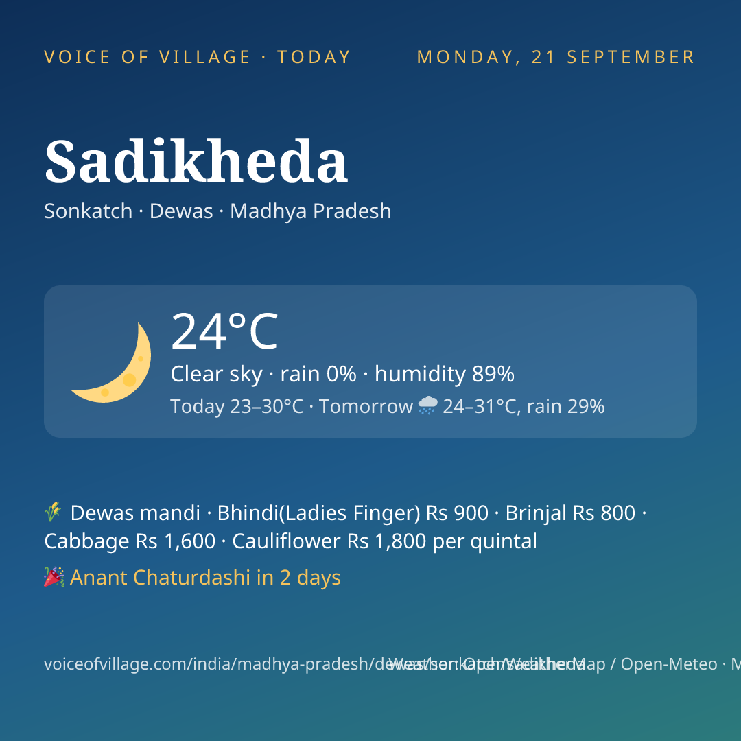 Sadikheda today