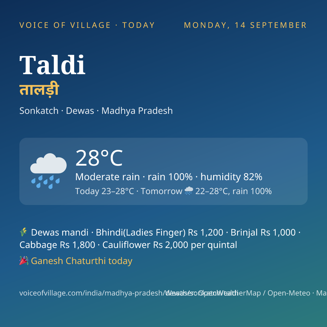 Taldi today