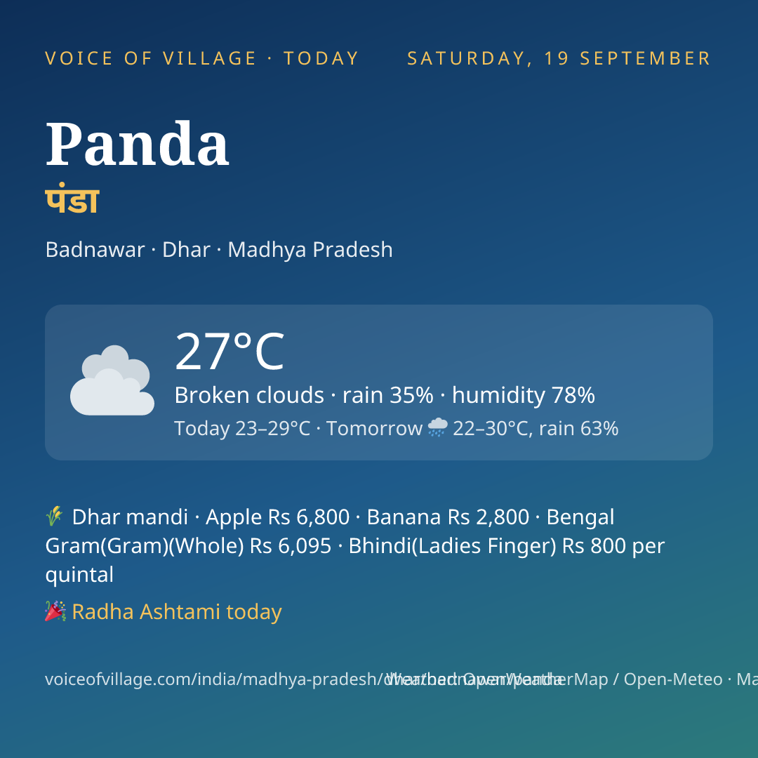 Panda today