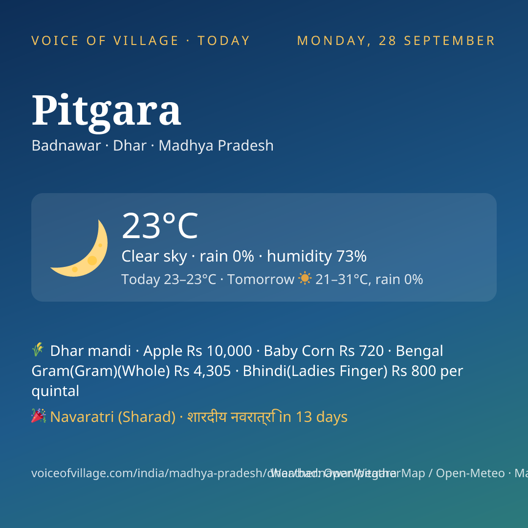 Pitgara today