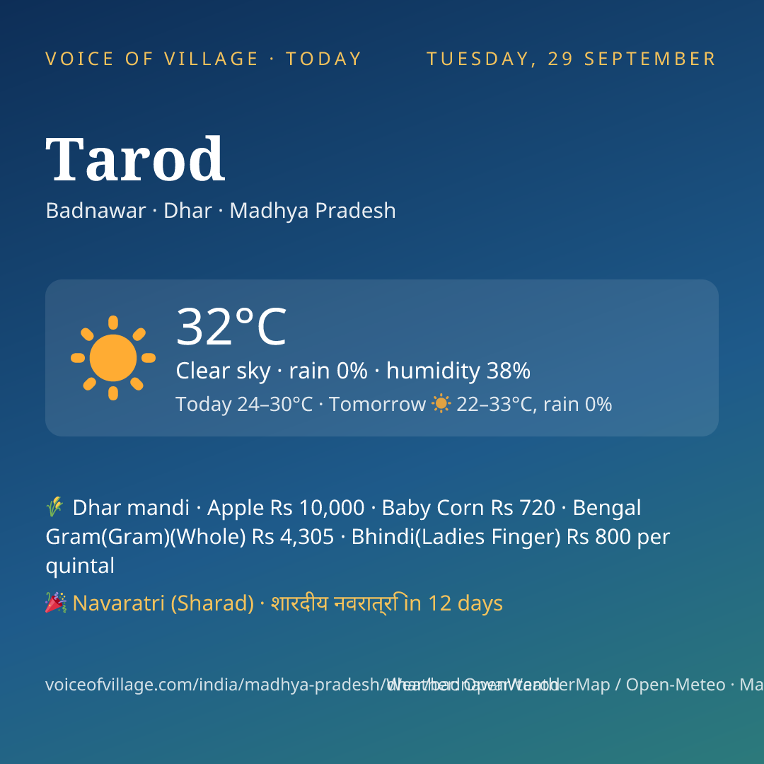 Tarod today