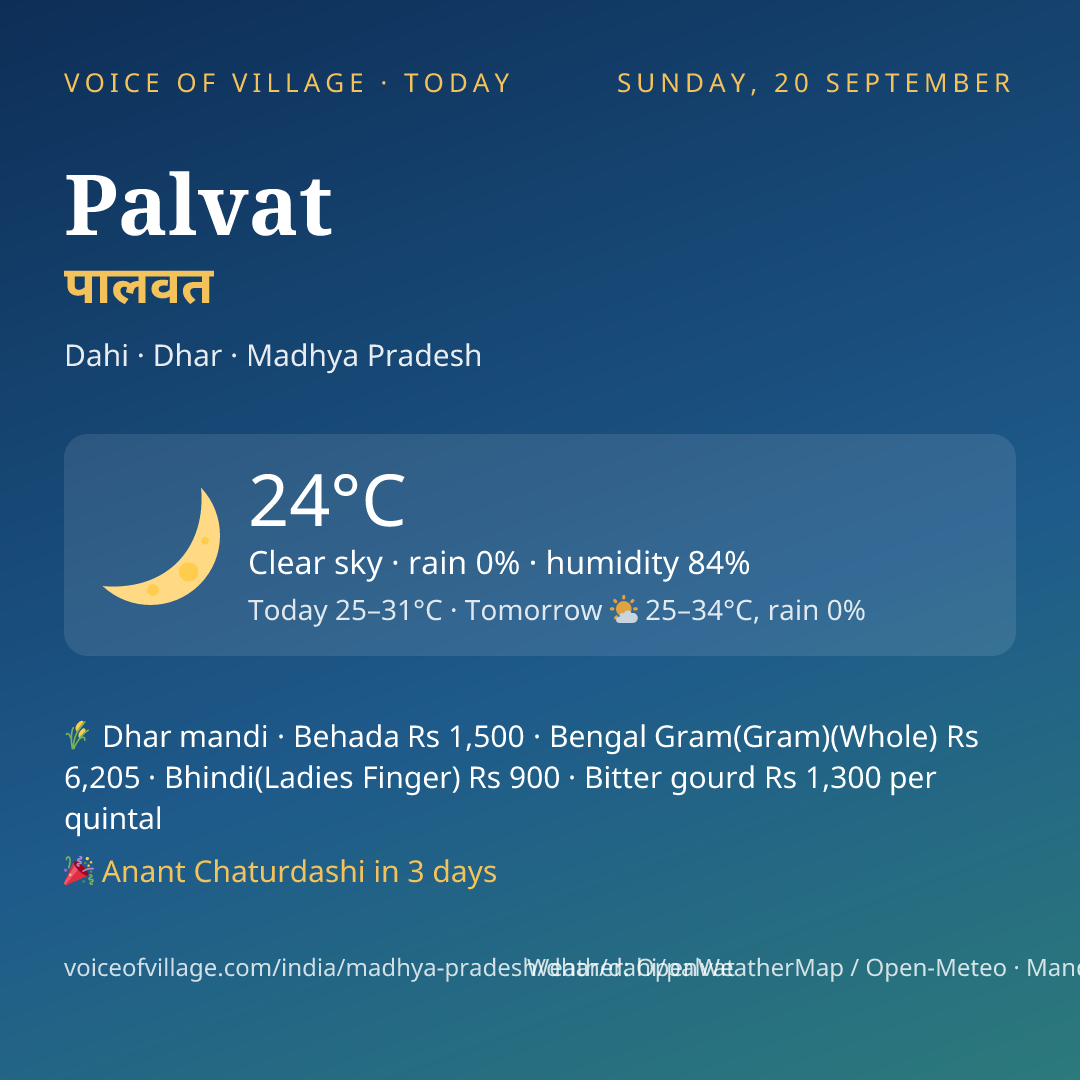 Palvat today