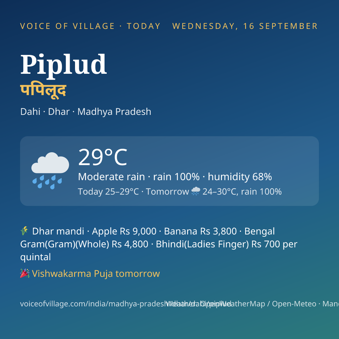 Piplud today