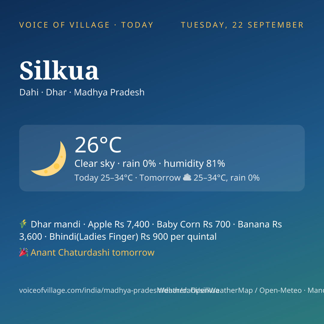 Silkua today