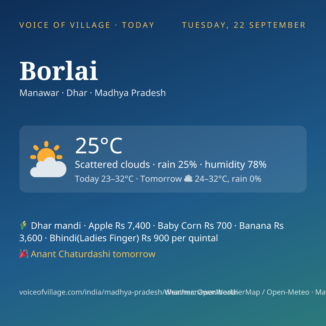 Borlai today