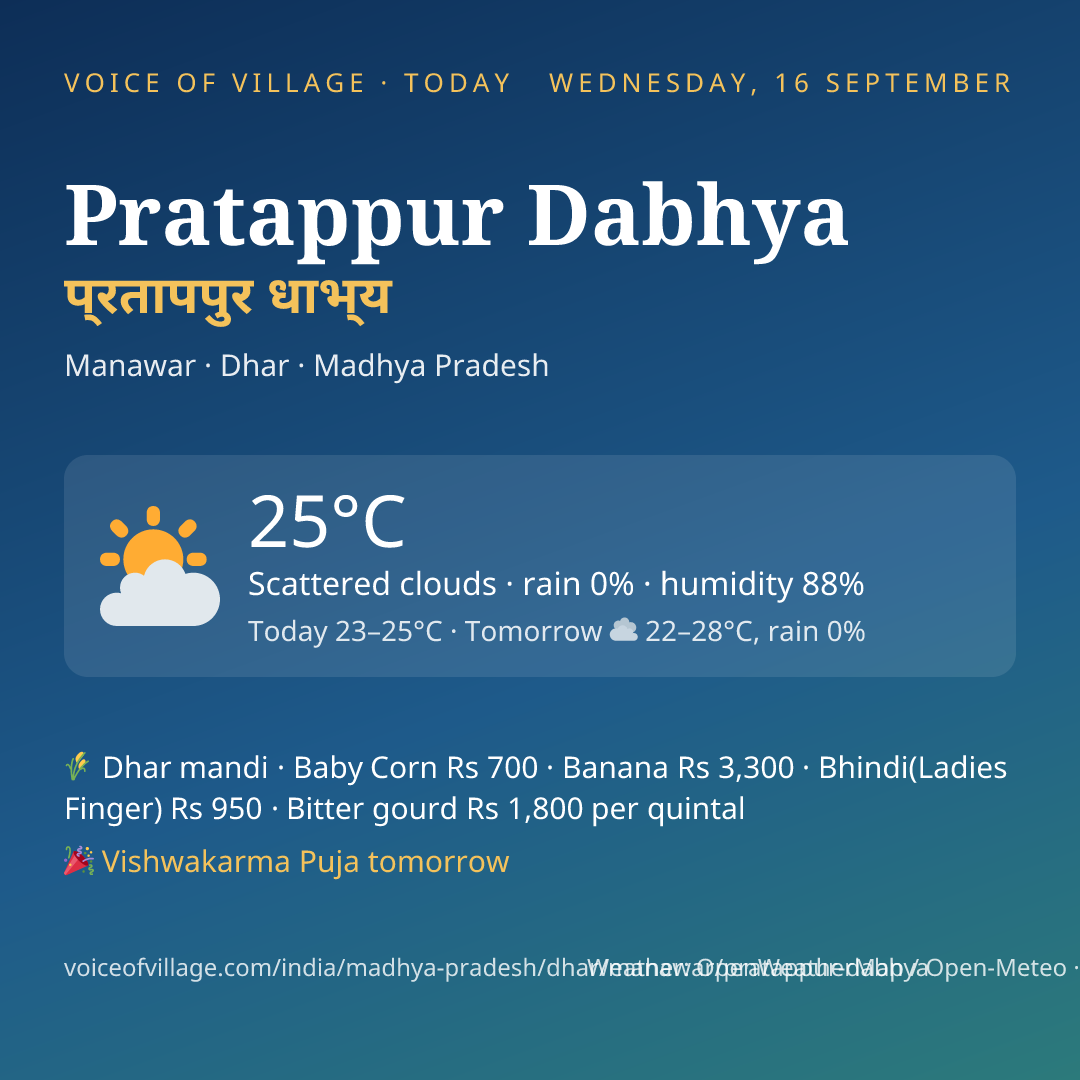Pratappur Dabhya today
