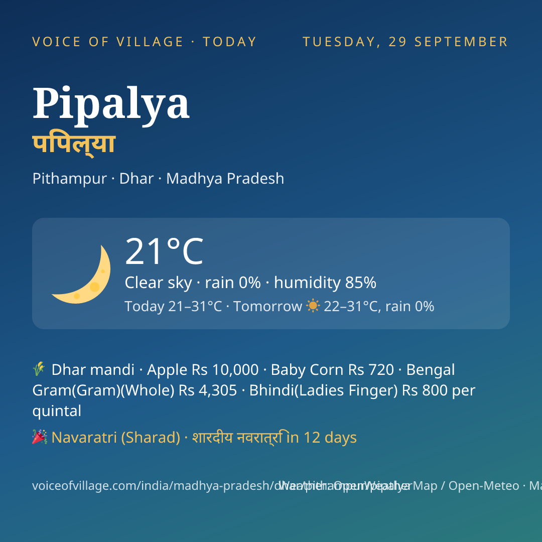 Pipalya today
