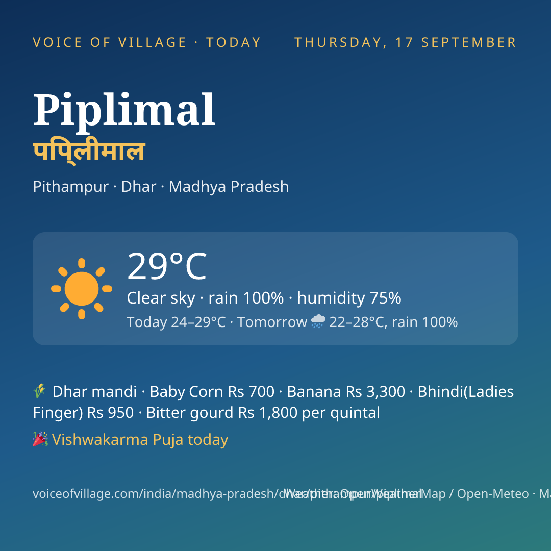 Piplimal today